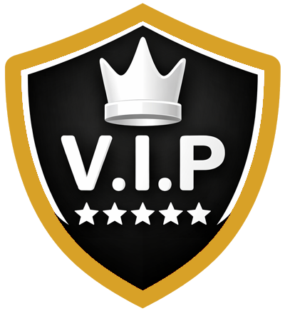 VIP protection icon